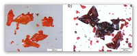 Hot-Paper Hillebrecht in CHEMISTRY: Perovskites