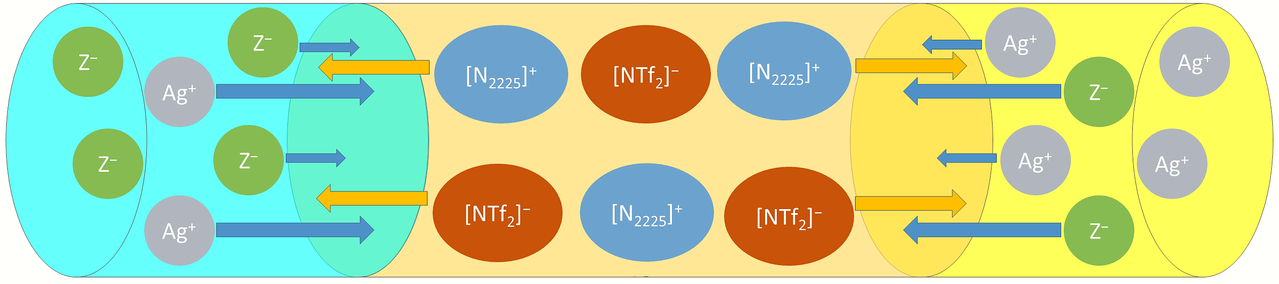 Krossing VIP-Paper II: The Ideal Ionic Liquid Salt Bridge for Direct Determination of Gibbs Energies of Transfer of Single Ions, Part II: Evaluation of the Role of Ion Solvation and Ion Mobilities